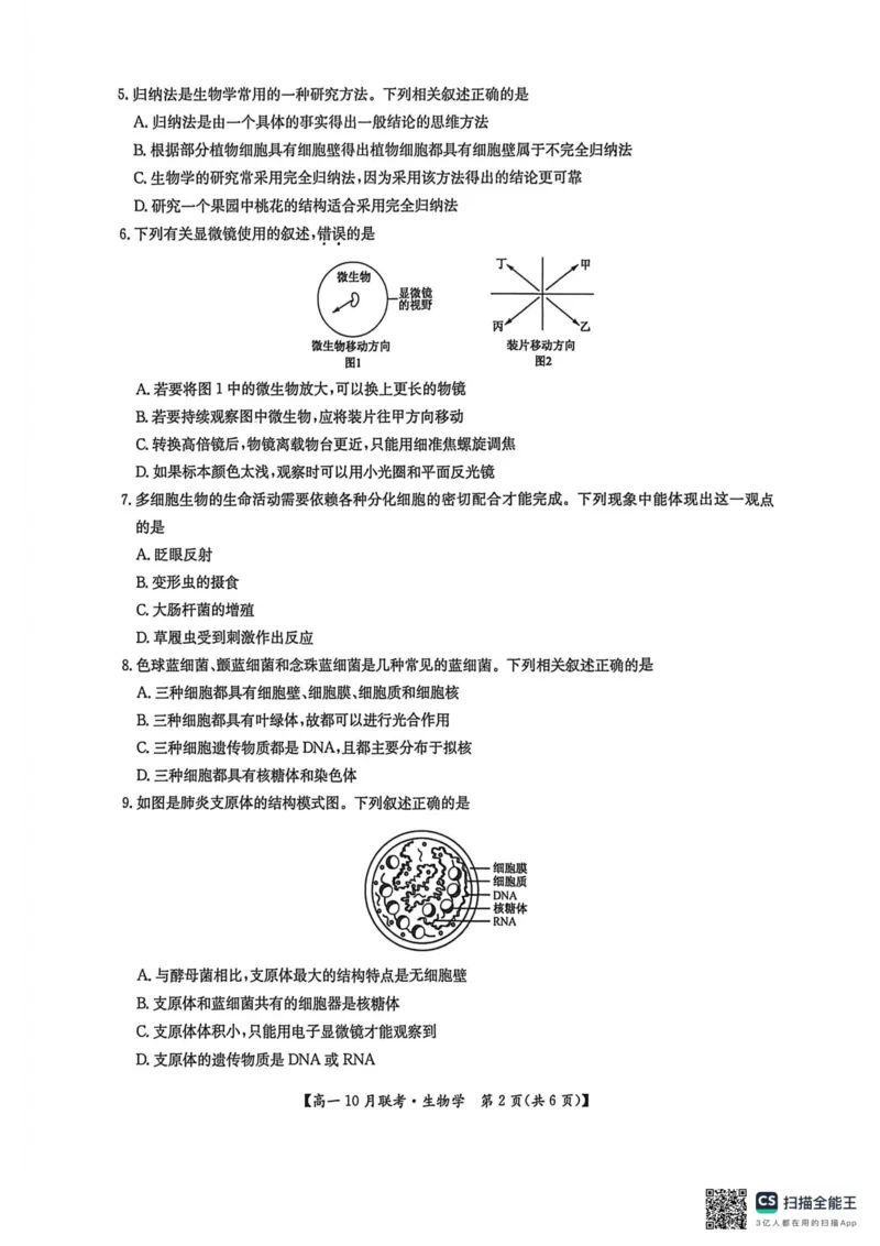 高一生物2025-10-1516.45_2025年10月高一试卷_251019河南洛阳强基联盟2025-2026学年高一上学期10月联考（全）_河南洛阳强基联盟2025-2026学年高一上学期10月联考生物试题含答案