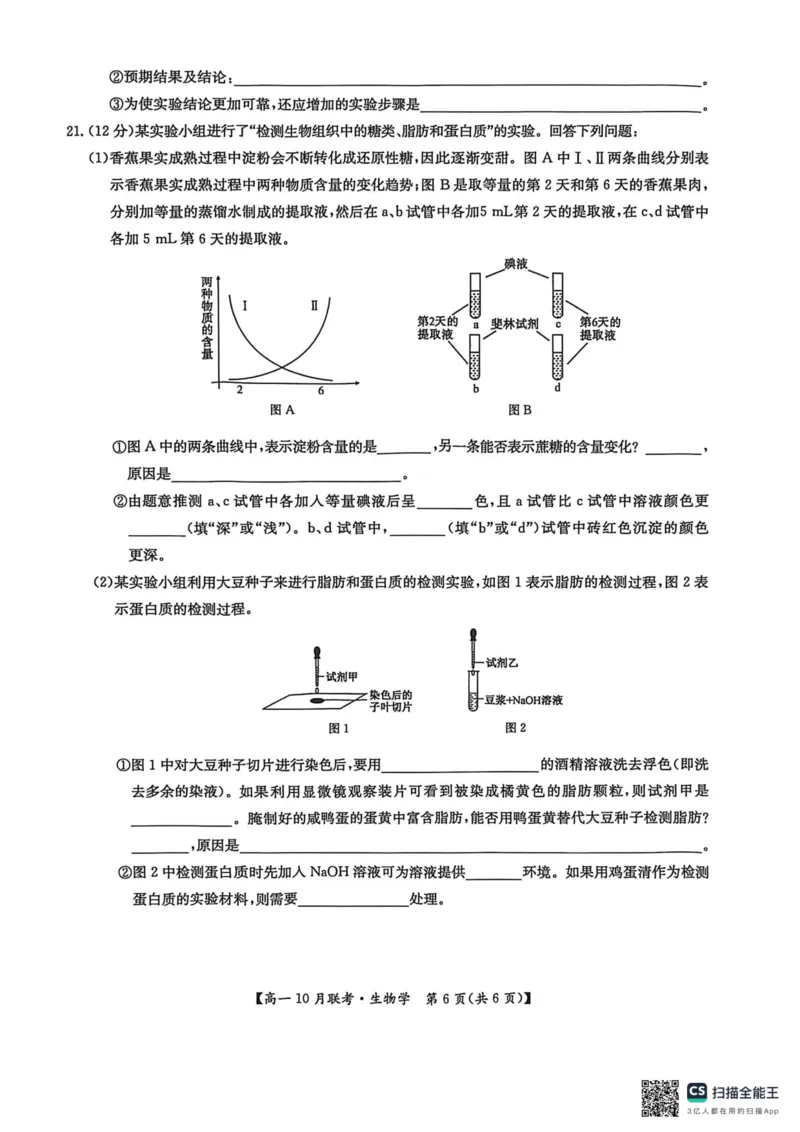 高一生物2025-10-1516.45_2025年10月高一试卷_251019河南洛阳强基联盟2025-2026学年高一上学期10月联考（全）_河南洛阳强基联盟2025-2026学年高一上学期10月联考生物试题含答案