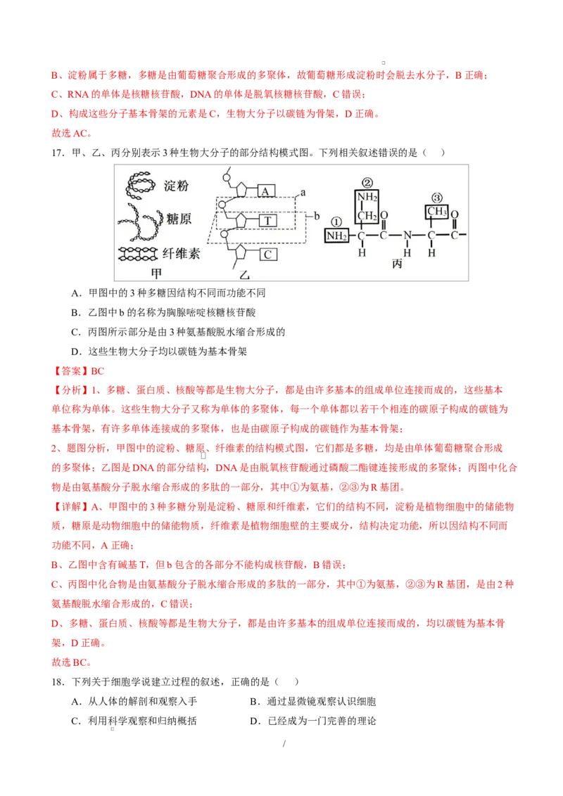 高一生物上学期第一次月考（全解全析）（黑吉辽蒙专用）_2025年10月高一试卷_2510032025-2026学年高一生物上学期第一次月考