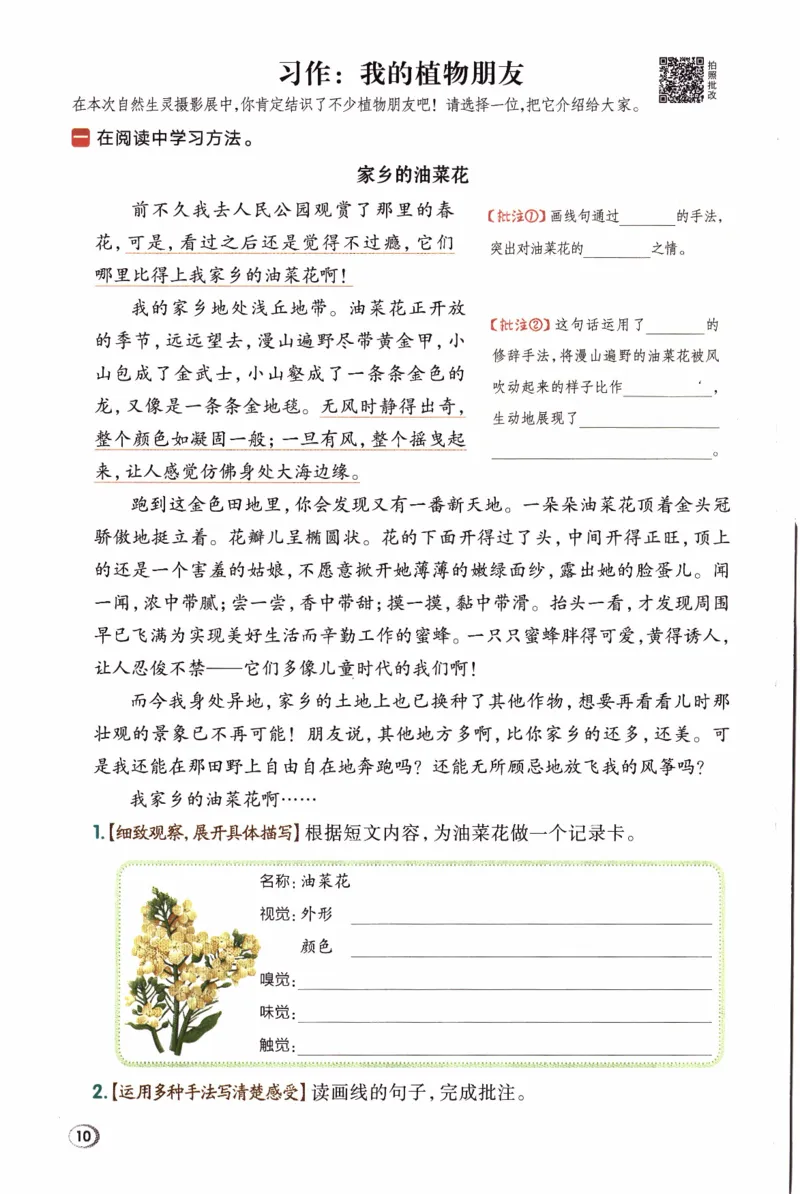 26春《典中点》人教语文3下(1)_2026春小学教辅大合集_6-26春《典中点》系列_26春《典中点》语文人教版（完整版）_26春三年级下册语文《典中点》