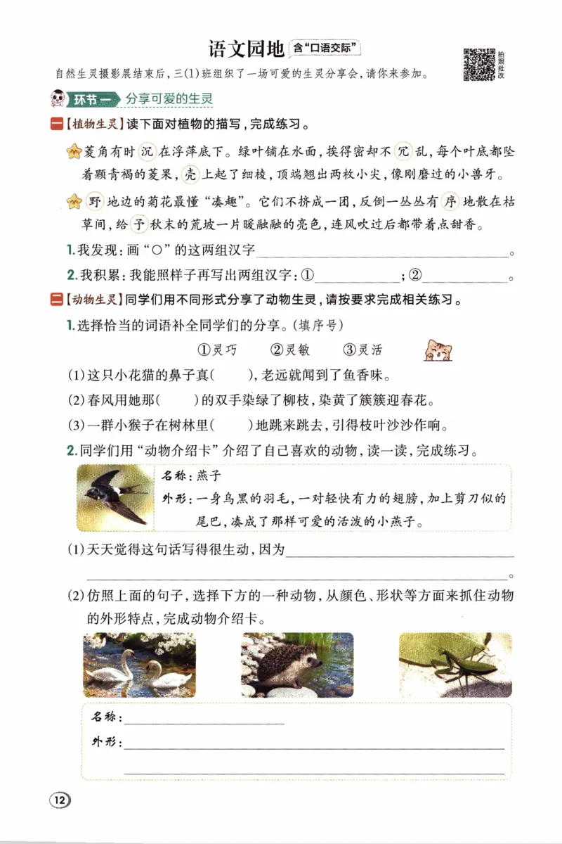 26春《典中点》人教语文3下(1)_2026春小学教辅大合集_6-26春《典中点》系列_26春《典中点》语文人教版（完整版）_26春三年级下册语文《典中点》