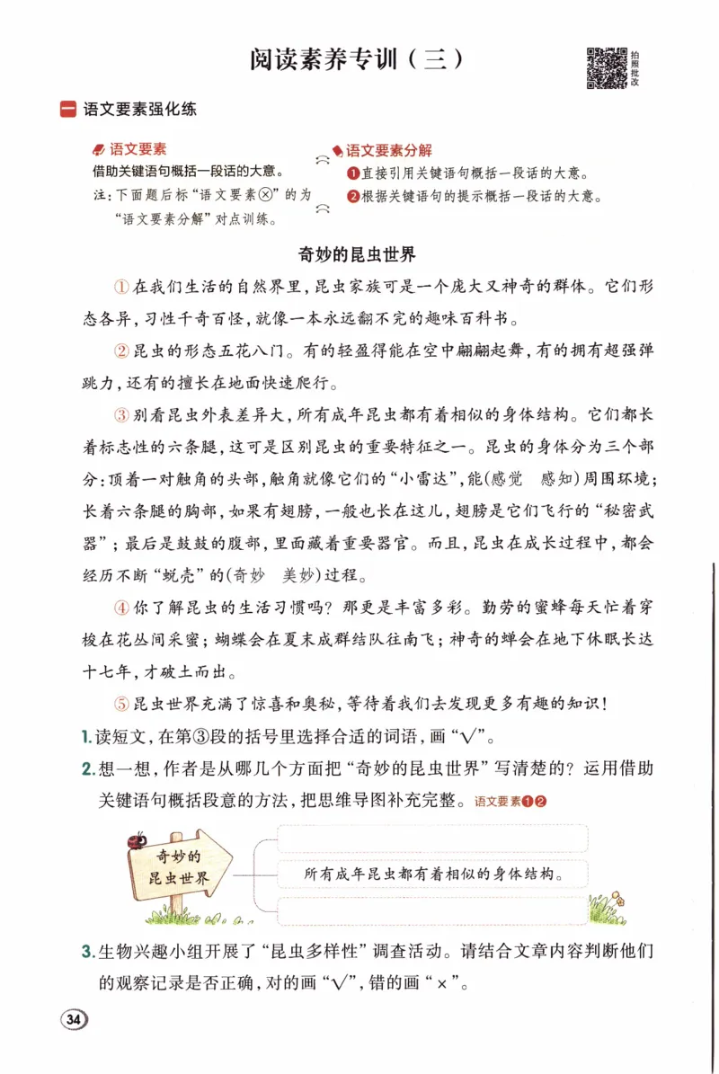 26春《典中点》人教语文3下(1)_2026春小学教辅大合集_6-26春《典中点》系列_26春《典中点》语文人教版（完整版）_26春三年级下册语文《典中点》