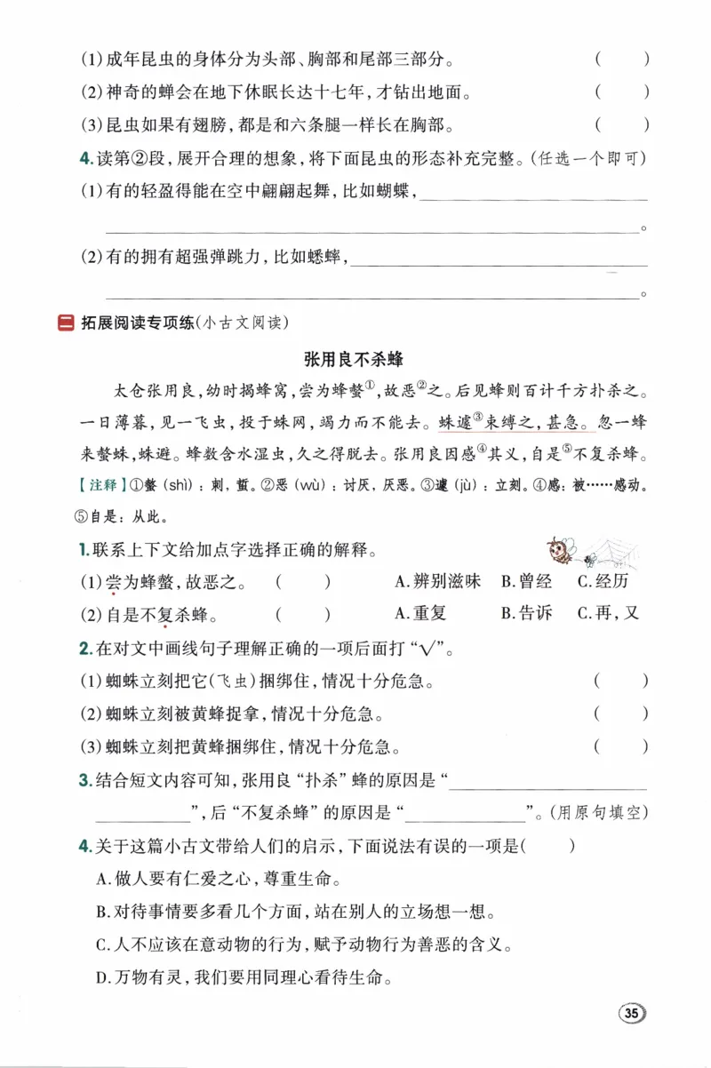 26春《典中点》人教语文3下(1)_2026春小学教辅大合集_6-26春《典中点》系列_26春《典中点》语文人教版（完整版）_26春三年级下册语文《典中点》