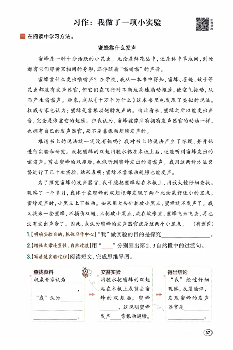 26春《典中点》人教语文3下(1)_2026春小学教辅大合集_6-26春《典中点》系列_26春《典中点》语文人教版（完整版）_26春三年级下册语文《典中点》