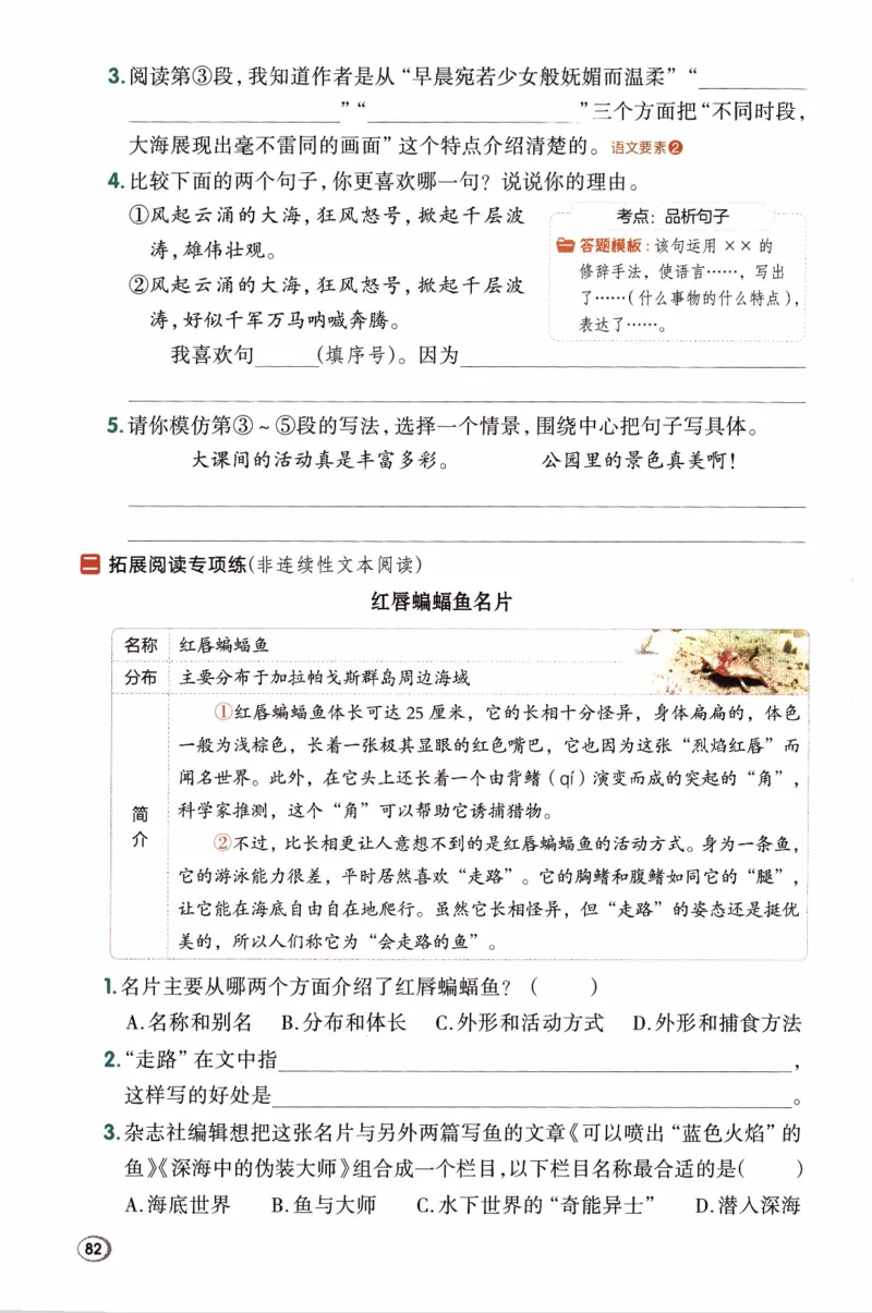 26春《典中点》人教语文3下(1)_2026春小学教辅大合集_6-26春《典中点》系列_26春《典中点》语文人教版（完整版）_26春三年级下册语文《典中点》