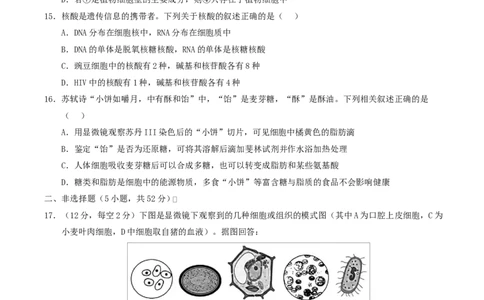 高一生物上学期第一次月考（陕晋青宁专用）（考试版）_2025年10月高一试卷_2510032025-2026学年高一生物上学期第一次月考