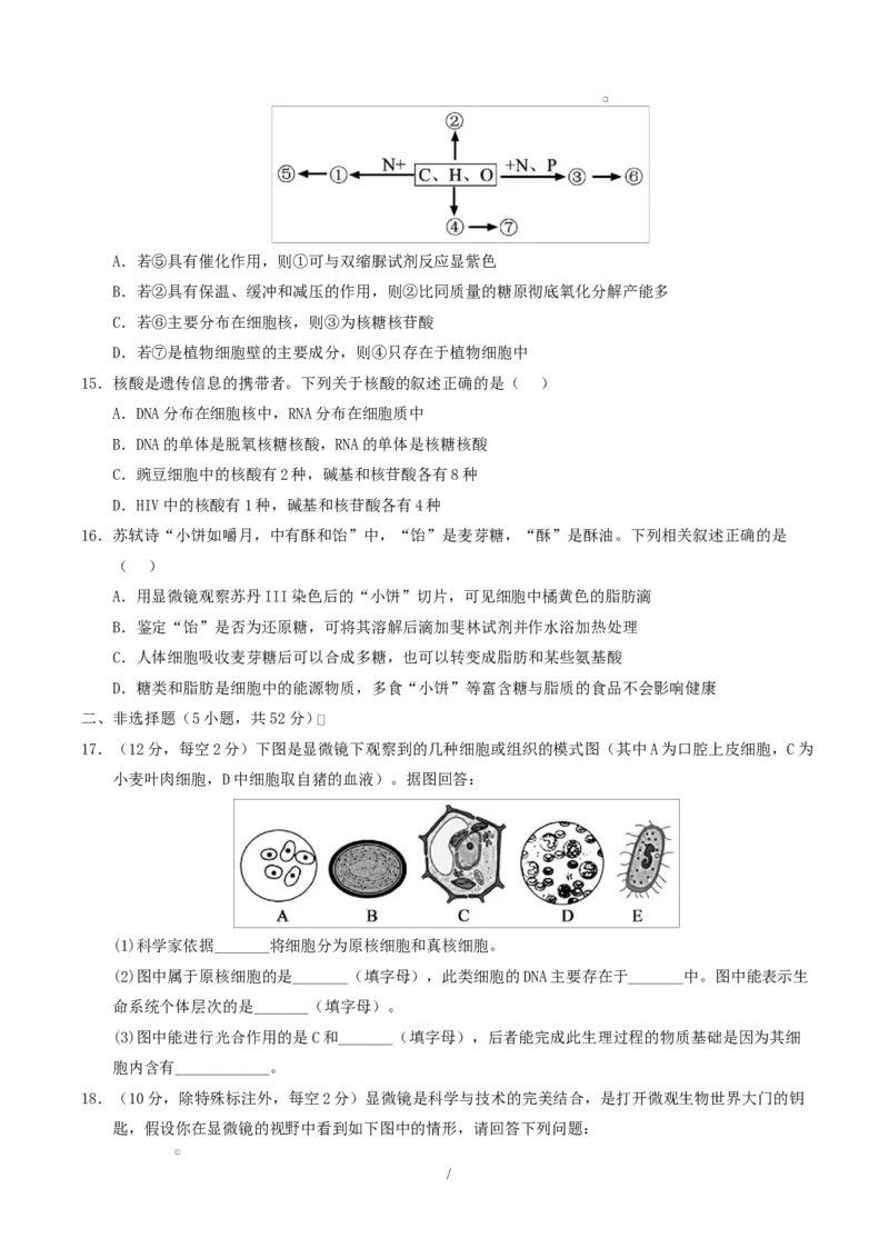高一生物上学期第一次月考（陕晋青宁专用）（考试版）_2025年10月高一试卷_2510032025-2026学年高一生物上学期第一次月考