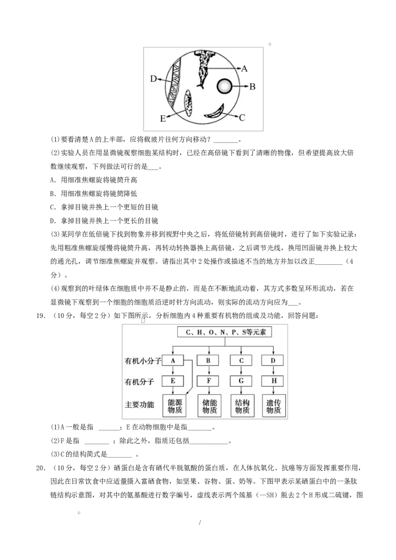 高一生物上学期第一次月考（陕晋青宁专用）（考试版）_2025年10月高一试卷_2510032025-2026学年高一生物上学期第一次月考