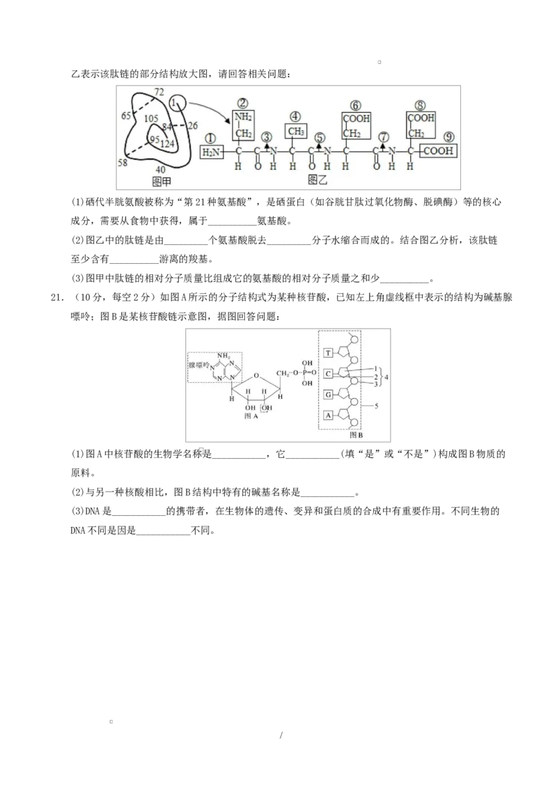 高一生物上学期第一次月考（陕晋青宁专用）（考试版）_2025年10月高一试卷_2510032025-2026学年高一生物上学期第一次月考