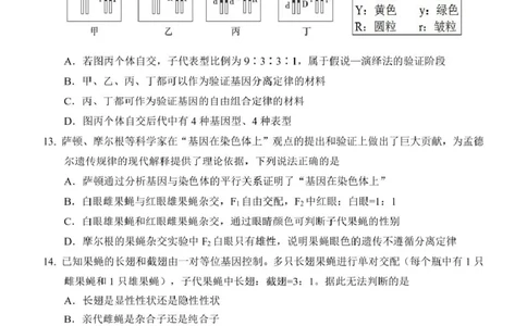 高一生物学试卷_2025年05月试卷_0513湖北省武汉市部分省级示范高中2024-2025学年高一下学期4月期中测试