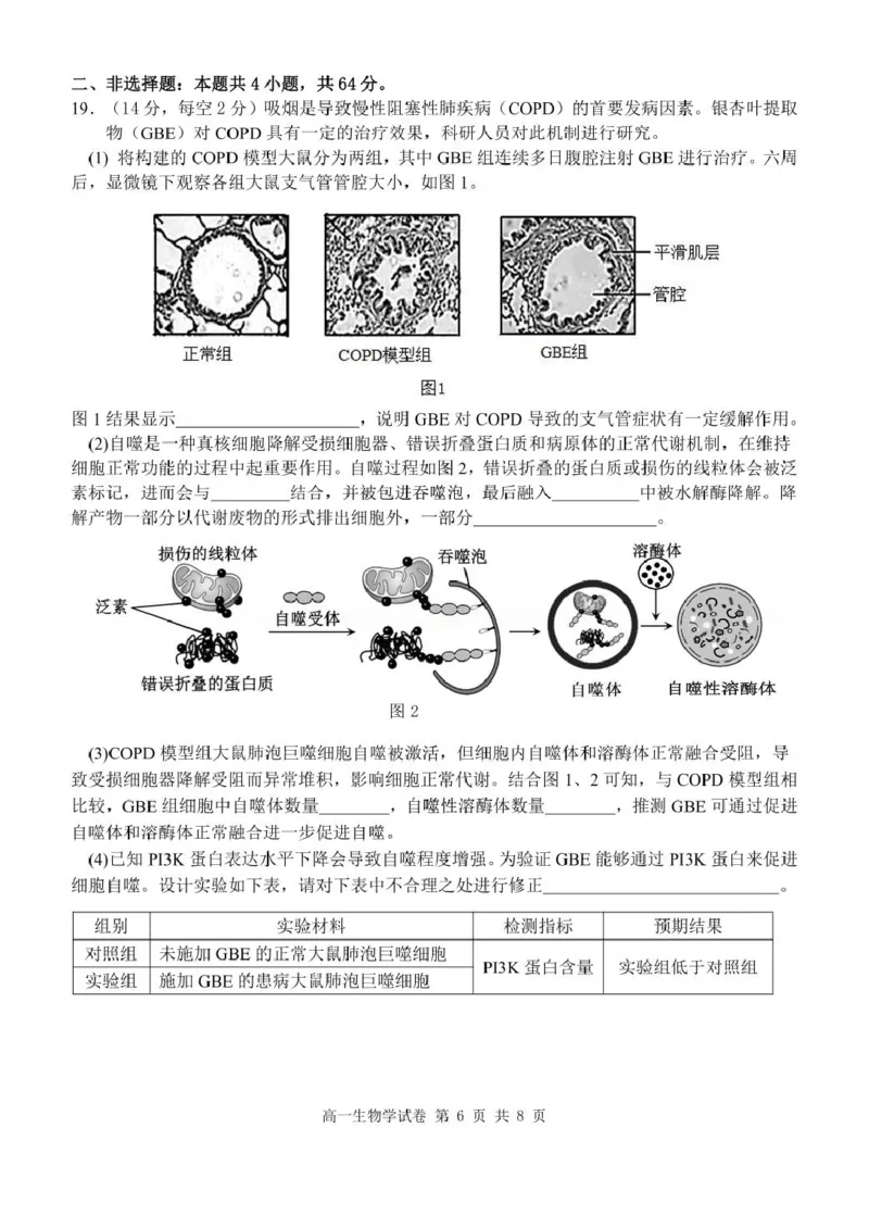 高一生物学试卷_2025年05月试卷_0513湖北省武汉市部分省级示范高中2024-2025学年高一下学期4月期中测试