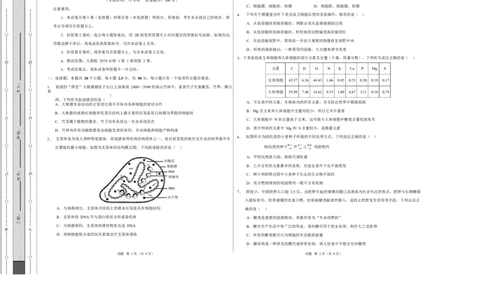 高一生物上学期第一次月考卷（四川专用）（考试版A3）_2025年10月高一试卷_2510032025-2026学年高一生物上学期第一次月考_2025-2026学年高一生物上学期第一次月考（四川专用）Word版含解析