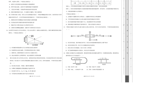 高一生物上学期第一次月考卷（四川专用）（考试版A3）_2025年10月高一试卷_2510032025-2026学年高一生物上学期第一次月考_2025-2026学年高一生物上学期第一次月考（四川专用）Word版含解析