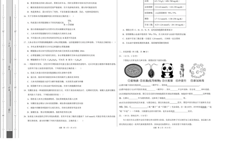 高一生物上学期第一次月考卷（四川专用）（考试版A3）_2025年10月高一试卷_2510032025-2026学年高一生物上学期第一次月考_2025-2026学年高一生物上学期第一次月考（四川专用）Word版含解析