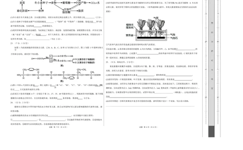 高一生物上学期第一次月考卷（四川专用）（考试版A3）_2025年10月高一试卷_2510032025-2026学年高一生物上学期第一次月考_2025-2026学年高一生物上学期第一次月考（四川专用）Word版含解析