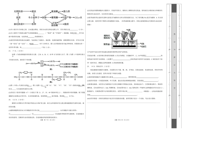 高一生物上学期第一次月考卷（四川专用）（考试版A3）_2025年10月高一试卷_2510032025-2026学年高一生物上学期第一次月考_2025-2026学年高一生物上学期第一次月考（四川专用）Word版含解析
