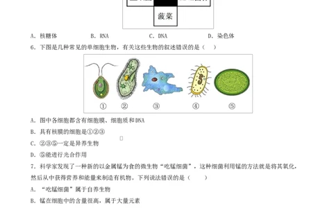 高一生物上学期第一次月考（山东专用）测试范围：人教版2019必修1第1章~第2章（考试版）_2025年10月高一试卷_2510032025-2026学年高一生物上学期第一次月考