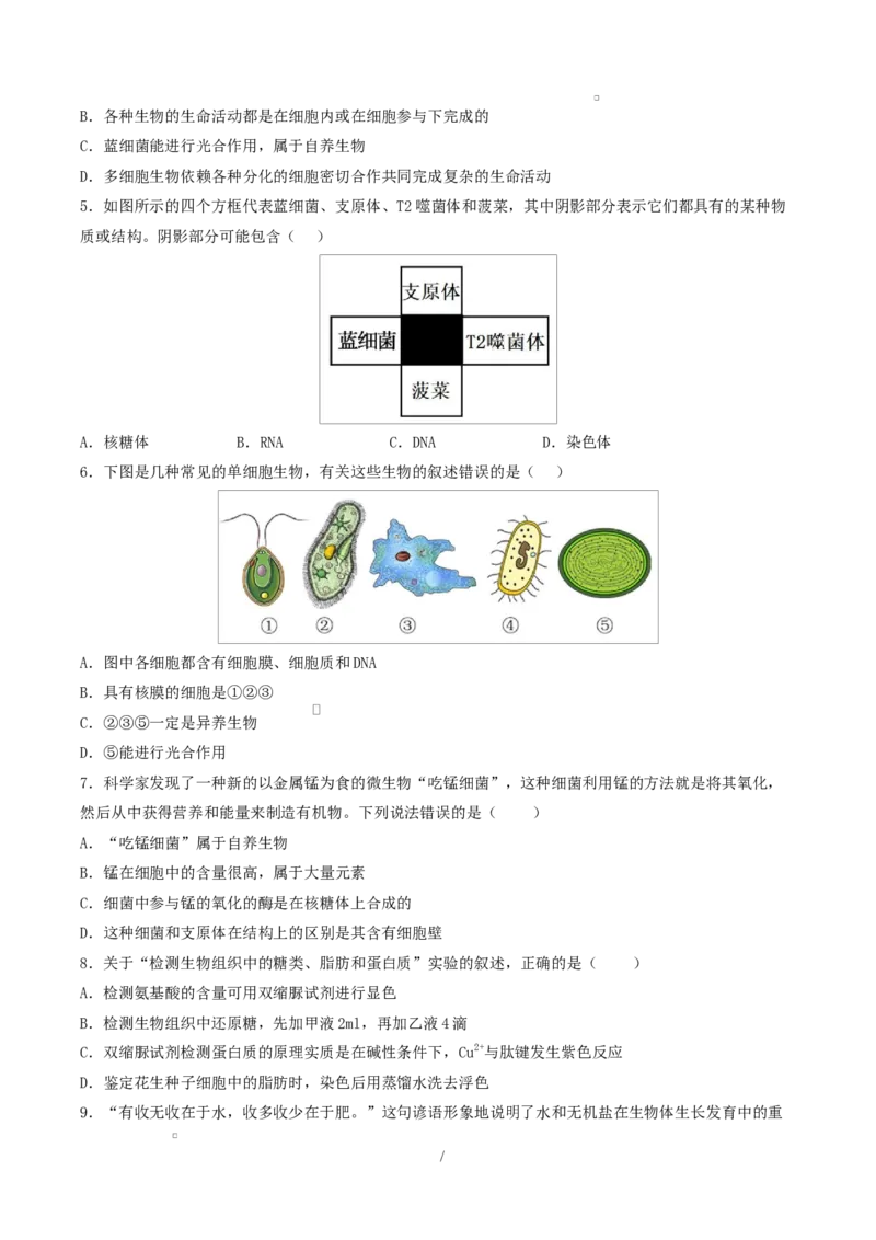 高一生物上学期第一次月考（山东专用）测试范围：人教版2019必修1第1章~第2章（考试版）_2025年10月高一试卷_2510032025-2026学年高一生物上学期第一次月考