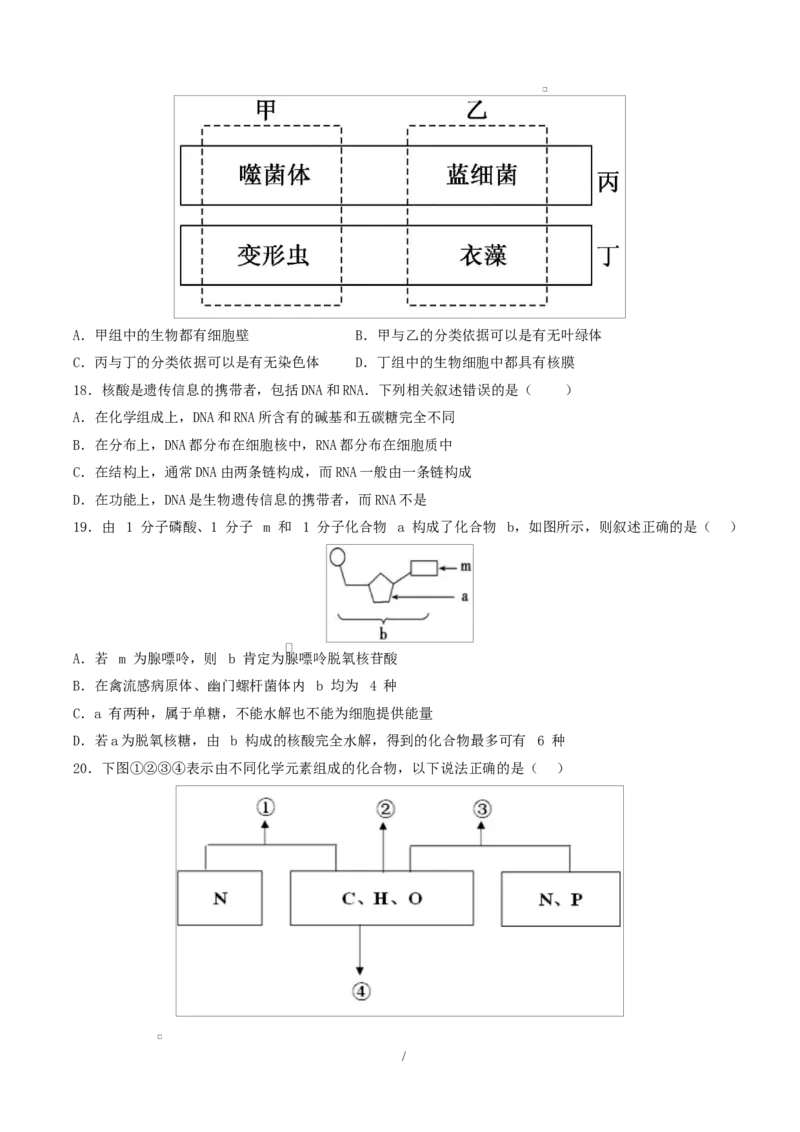 高一生物上学期第一次月考（山东专用）测试范围：人教版2019必修1第1章~第2章（考试版）_2025年10月高一试卷_2510032025-2026学年高一生物上学期第一次月考