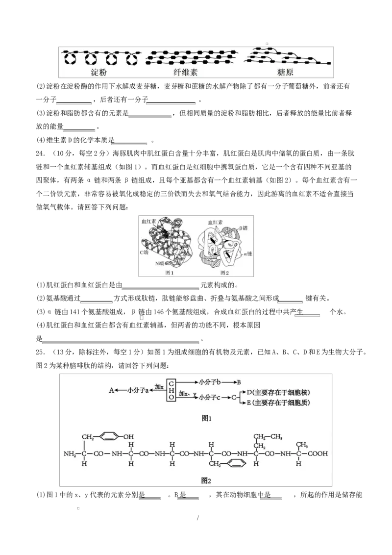 高一生物上学期第一次月考（山东专用）测试范围：人教版2019必修1第1章~第2章（考试版）_2025年10月高一试卷_2510032025-2026学年高一生物上学期第一次月考