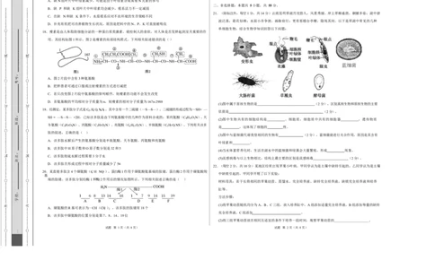 高一生物上学期第一次月考02测试范围：必修1第1章-第2章第4节（考试版A3）（人教版2019）_2025年10月高一试卷_2510032025-2026学年高一生物上学期第一次月考
