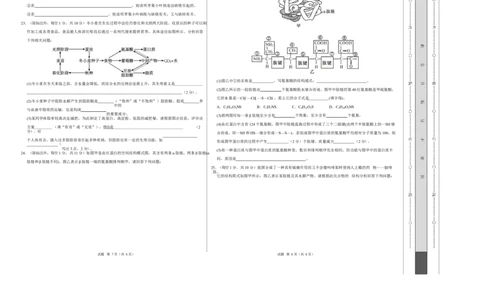 高一生物上学期第一次月考02测试范围：必修1第1章-第2章第4节（考试版A3）（人教版2019）_2025年10月高一试卷_2510032025-2026学年高一生物上学期第一次月考