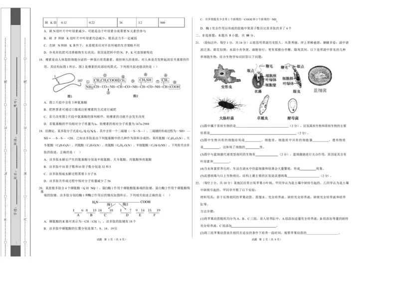 高一生物上学期第一次月考02测试范围：必修1第1章-第2章第4节（考试版A3）（人教版2019）_2025年10月高一试卷_2510032025-2026学年高一生物上学期第一次月考