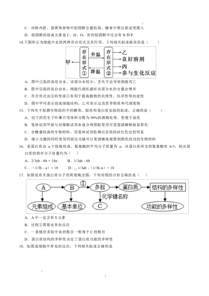 高一生物上学期第一次月考测试范围：人教版2019必修1第1第1章~第2章（安徽专用）（考试版）_2025年10月高一试卷_2510032025-2026学年高一生物上学期第一次月考