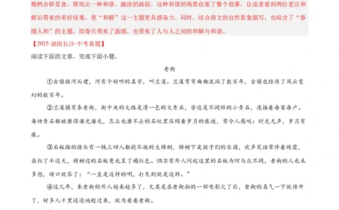 专题18小说阅读（二）（全国通用）（解析版）_中考复习资料_语数英物化_1语文中考复习_2026年中考复习（更新中）_好题汇编三年（2023-2025）中考语文真题分类汇编（全国通用）