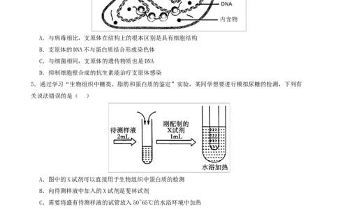 高一生物上学期第一次月考（江苏专用）测试范围：人教版2019必修1第1章~第2章（考试版）_2025年10月高一试卷_2510032025-2026学年高一生物上学期第一次月考