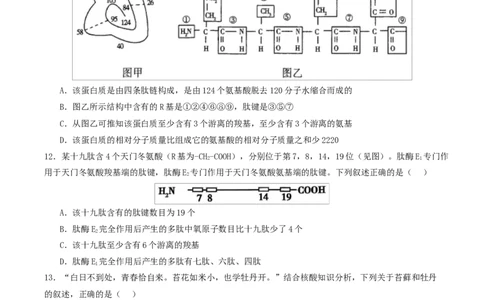 高一生物上学期第一次月考（江苏专用）测试范围：人教版2019必修1第1章~第2章（考试版）_2025年10月高一试卷_2510032025-2026学年高一生物上学期第一次月考