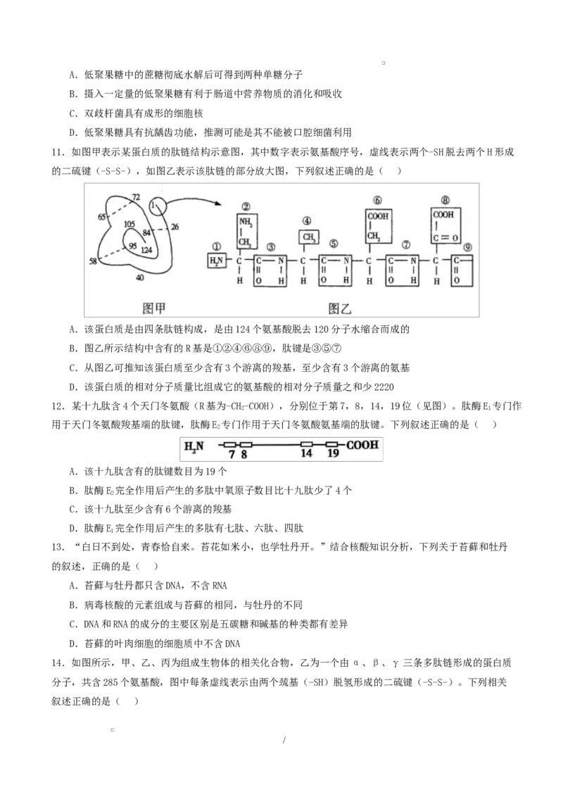 高一生物上学期第一次月考（江苏专用）测试范围：人教版2019必修1第1章~第2章（考试版）_2025年10月高一试卷_2510032025-2026学年高一生物上学期第一次月考