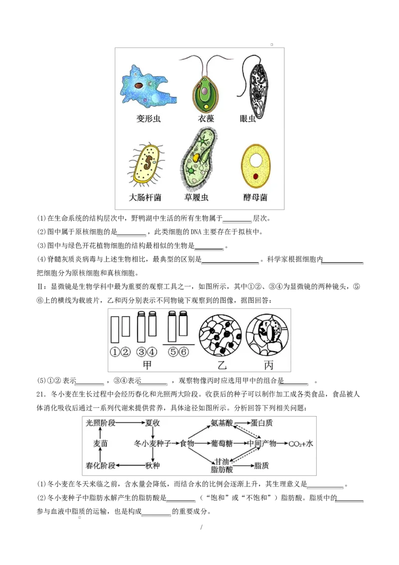 高一生物上学期第一次月考（江苏专用）测试范围：人教版2019必修1第1章~第2章（考试版）_2025年10月高一试卷_2510032025-2026学年高一生物上学期第一次月考