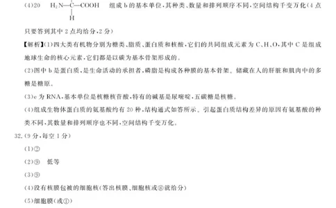 高一答案_2025年12月高一试卷_251202浙江省强基联盟2025-2026学年高一上学期11月期中_浙江省强基联盟2025-2026学年高一上学期11月期中生物试题（图片版，含答案）