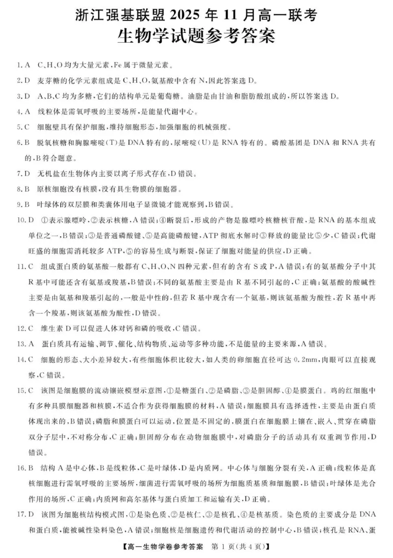 高一答案_2025年12月高一试卷_251202浙江省强基联盟2025-2026学年高一上学期11月期中_浙江省强基联盟2025-2026学年高一上学期11月期中生物试题（图片版，含答案）