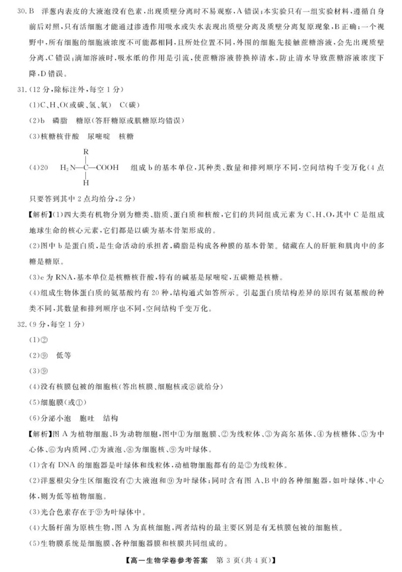 高一答案_2025年12月高一试卷_251202浙江省强基联盟2025-2026学年高一上学期11月期中_浙江省强基联盟2025-2026学年高一上学期11月期中生物试题（图片版，含答案）