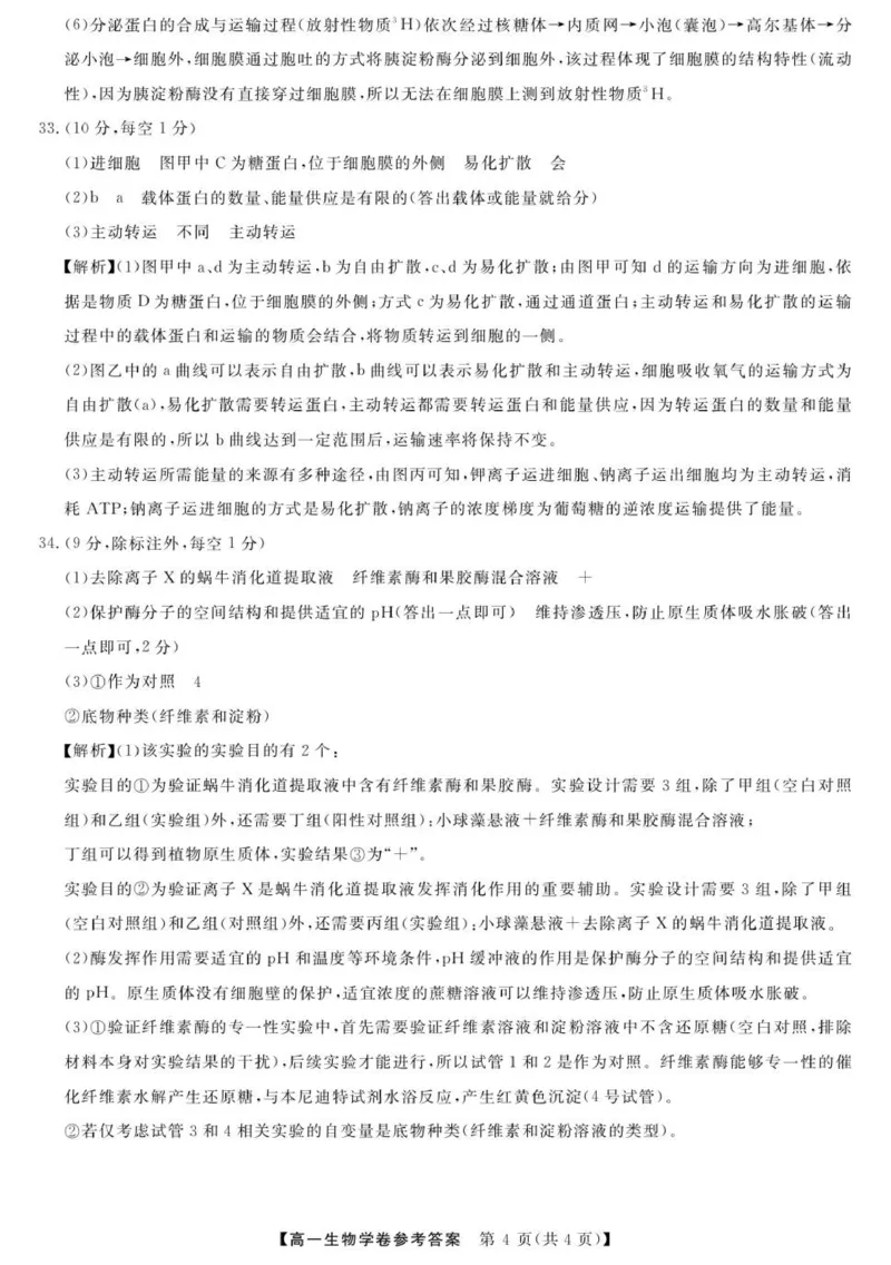 高一答案_2025年12月高一试卷_251202浙江省强基联盟2025-2026学年高一上学期11月期中_浙江省强基联盟2025-2026学年高一上学期11月期中生物试题（图片版，含答案）