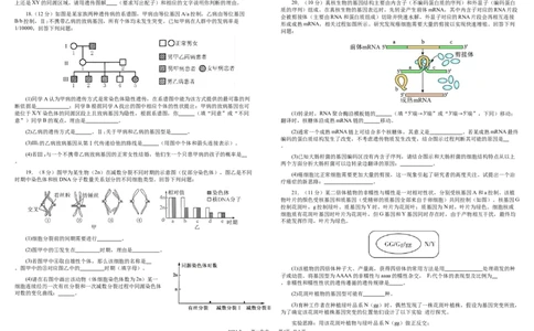 高一生物_2024年07月试卷_0710四川省成都市树德中学2023-2024学年高一下学期期末考试_四川省成都市青羊区四川省成都市树德中学2023-2024学年高一下学期7月期末生物试题_高一生物定稿