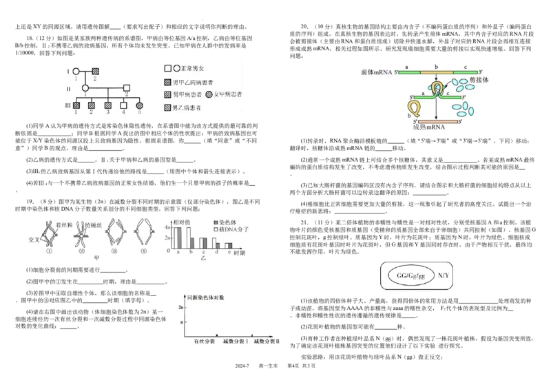 高一生物_2024年07月试卷_0710四川省成都市树德中学2023-2024学年高一下学期期末考试_四川省成都市青羊区四川省成都市树德中学2023-2024学年高一下学期7月期末生物试题_高一生物定稿
