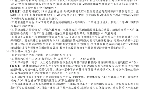 高一生物答案_2026年01月高一试卷_260129河南省新未来2025-2026学年高一上学期1月测评_河南省南阳市新未来2025-2026学年高一上学期1月月考生物试题含答案