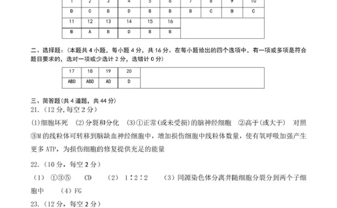 高一生物答案(1)_2025年05月试卷_0503湖南省长沙市雅礼教育集团2024-2025学年高一下学期期中_湖南省长沙市雅礼教育集团2024-2025学年高一下学期期中考试生物试题（有答案）