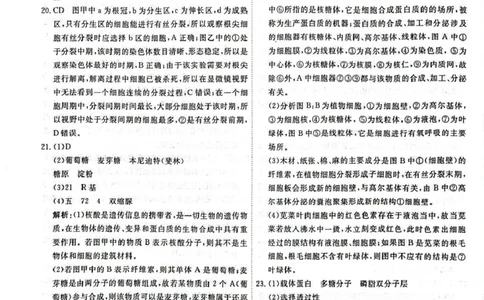 高一生物答案_2025年05月试卷_0523江西省赣州市大余县部分学校2024-2025学年高一下学期4月期中联考
