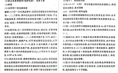 高一生物答案_2025年05月试卷_0523江西省赣州市大余县部分学校2024-2025学年高一下学期4月期中联考