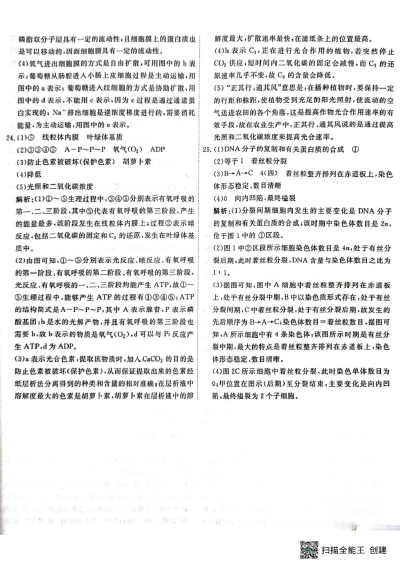 高一生物答案_2025年05月试卷_0523江西省赣州市大余县部分学校2024-2025学年高一下学期4月期中联考