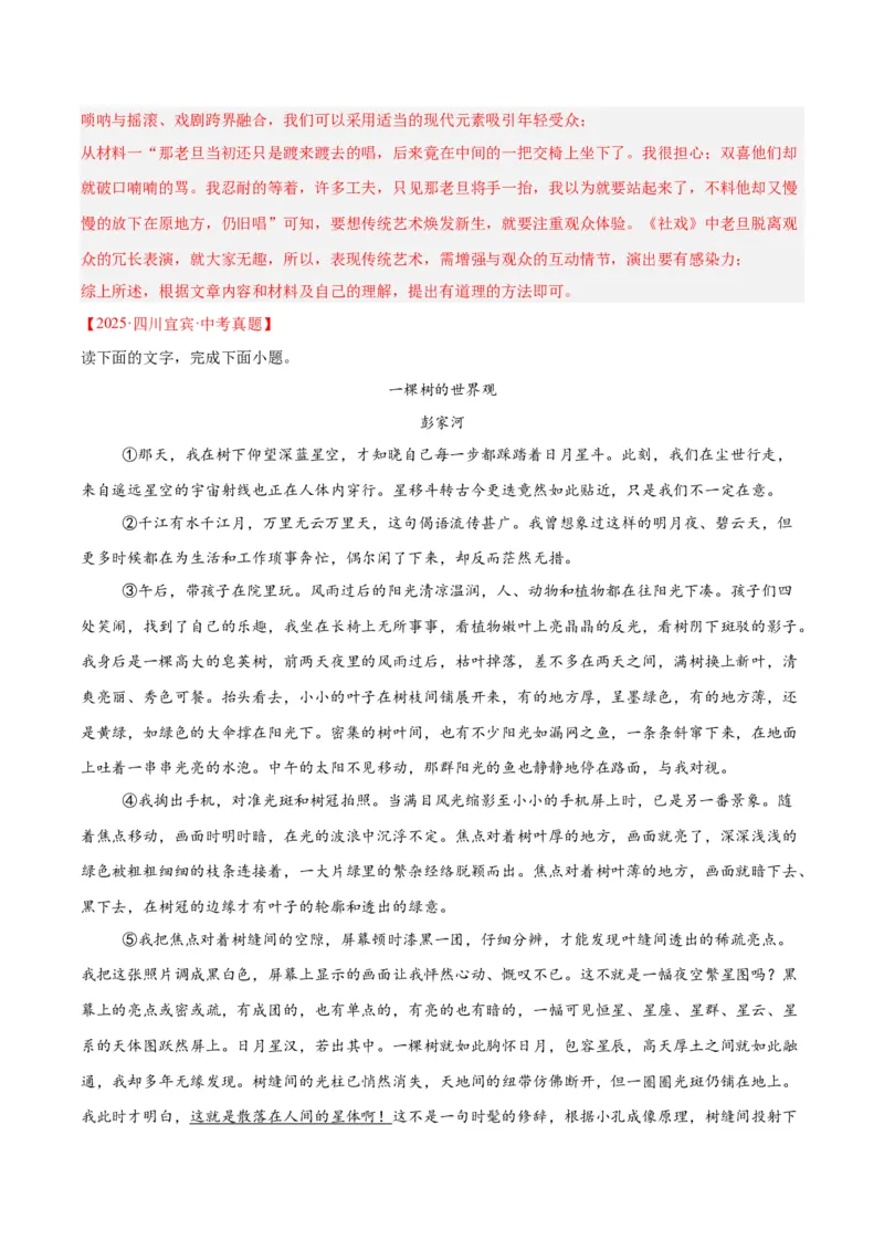专题20散文阅读（二）（全国通用）（解析版）_中考复习资料_语数英物化_1语文中考复习_2026年中考复习（更新中）_好题汇编三年（2023-2025）中考语文真题分类汇编（全国通用）