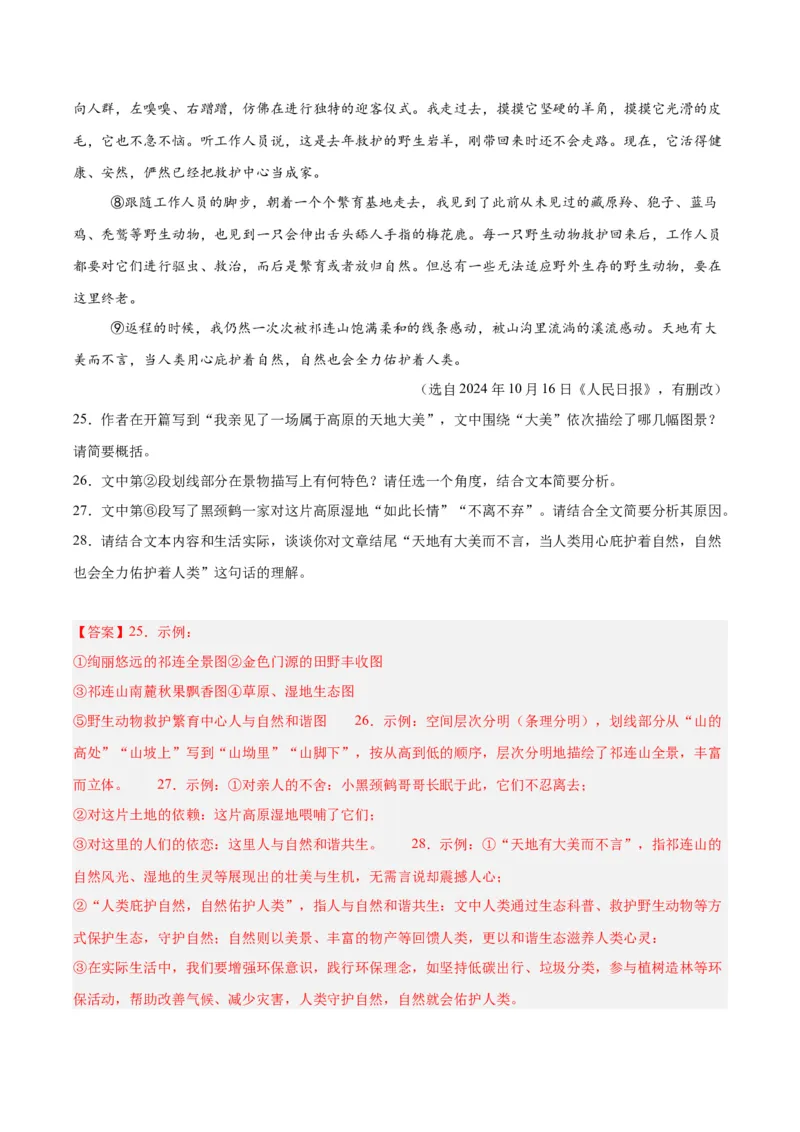 专题20散文阅读（二）（全国通用）（解析版）_中考复习资料_语数英物化_1语文中考复习_2026年中考复习（更新中）_好题汇编三年（2023-2025）中考语文真题分类汇编（全国通用）