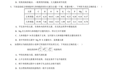 高一生物上学期第一次月考卷（四川专用）（考试版）_2025年10月高一试卷_2510032025-2026学年高一生物上学期第一次月考_2025-2026学年高一生物上学期第一次月考（四川专用）Word版含解析