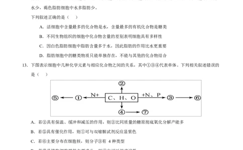 高一生物上学期第一次月考卷（四川专用）（考试版）_2025年10月高一试卷_2510032025-2026学年高一生物上学期第一次月考_2025-2026学年高一生物上学期第一次月考（四川专用）Word版含解析