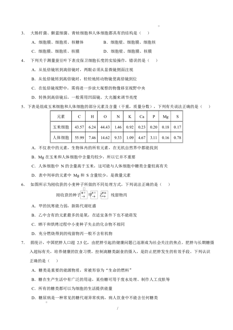高一生物上学期第一次月考卷（四川专用）（考试版）_2025年10月高一试卷_2510032025-2026学年高一生物上学期第一次月考_2025-2026学年高一生物上学期第一次月考（四川专用）Word版含解析
