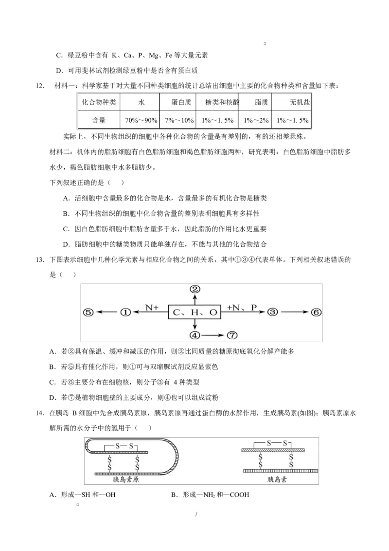 高一生物上学期第一次月考卷（四川专用）（考试版）_2025年10月高一试卷_2510032025-2026学年高一生物上学期第一次月考_2025-2026学年高一生物上学期第一次月考（四川专用）Word版含解析
